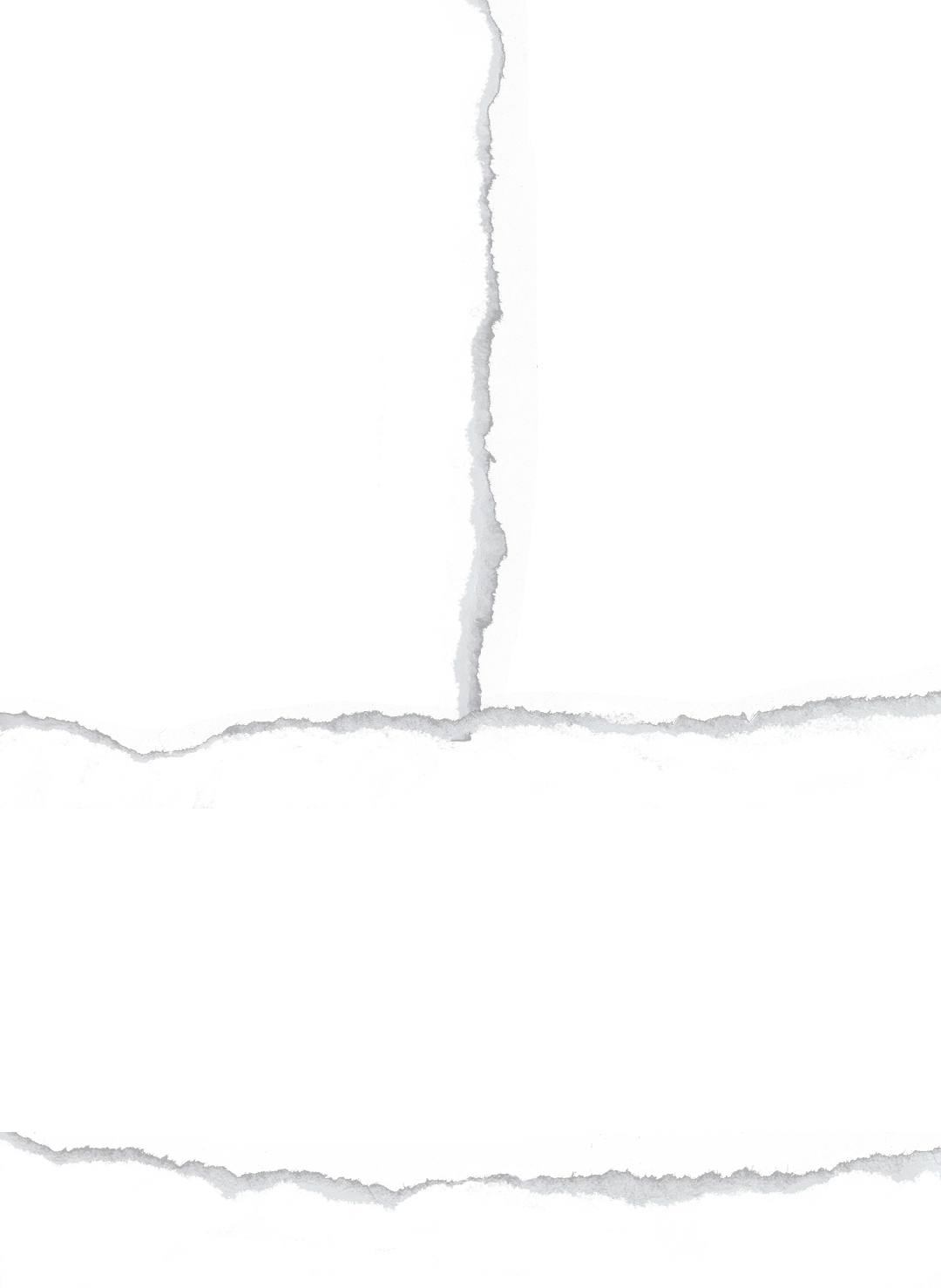 Ripped Paper Line Texture